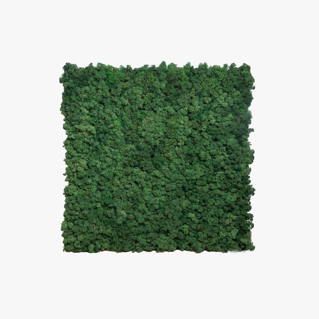 Featured image for the post: Moss panels - Moss Green