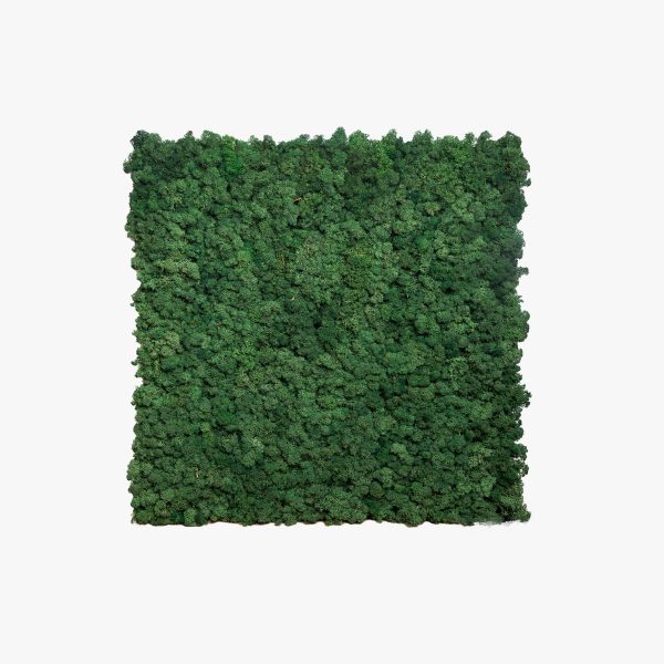 Moss panels