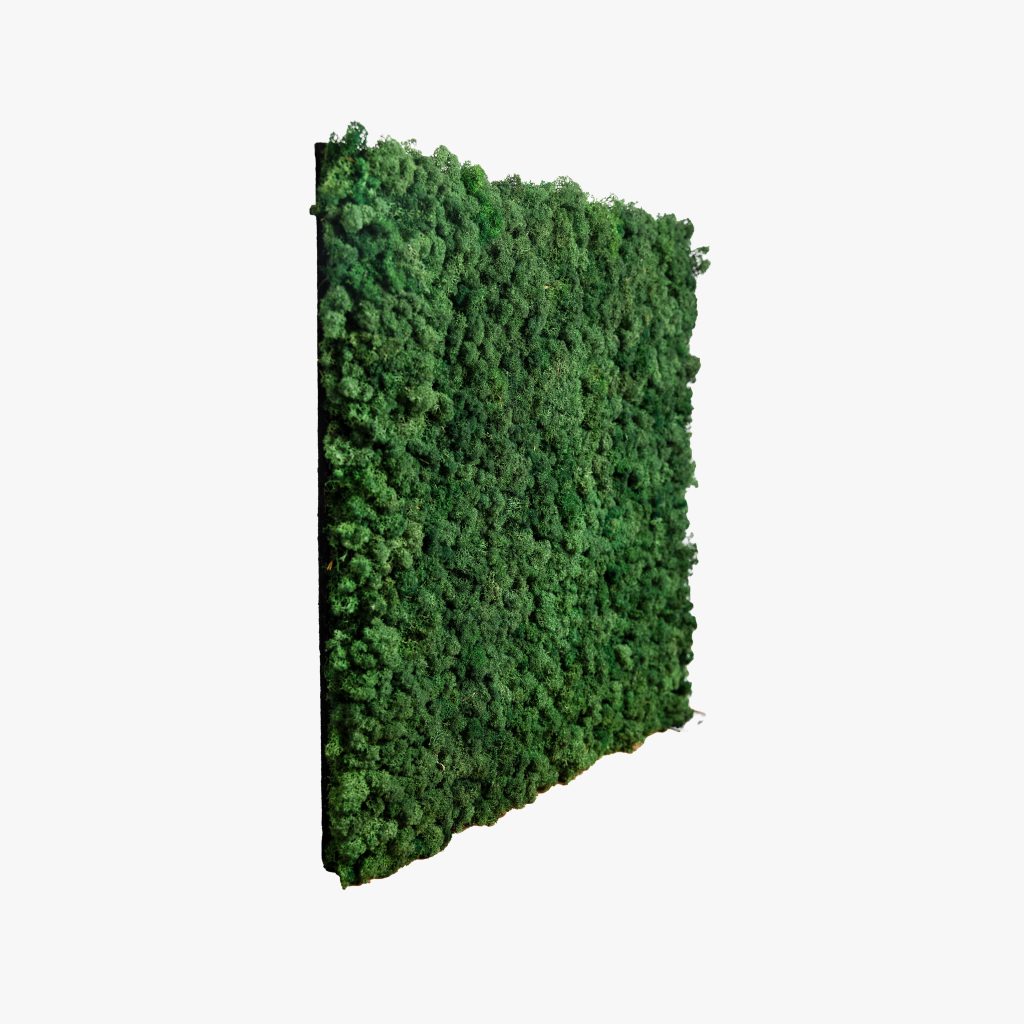 Image 3 of 4 in Moss panels gallery