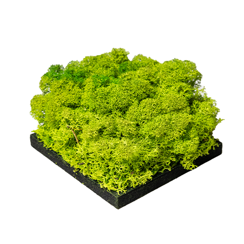 Apple Green | Moss panel – Sample