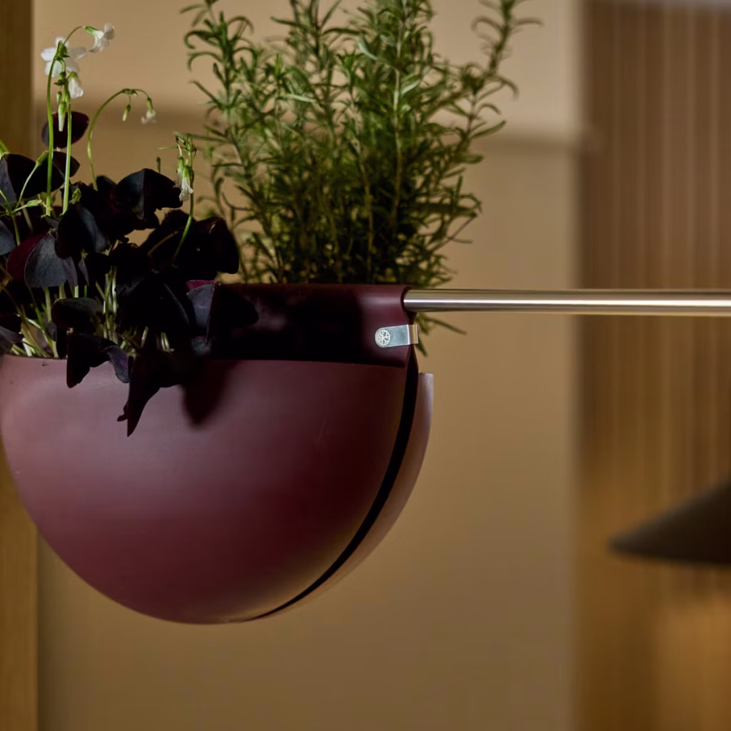 Image 1 of 9 in EMBRACE | Gro Soft Pocket (4l) gallery