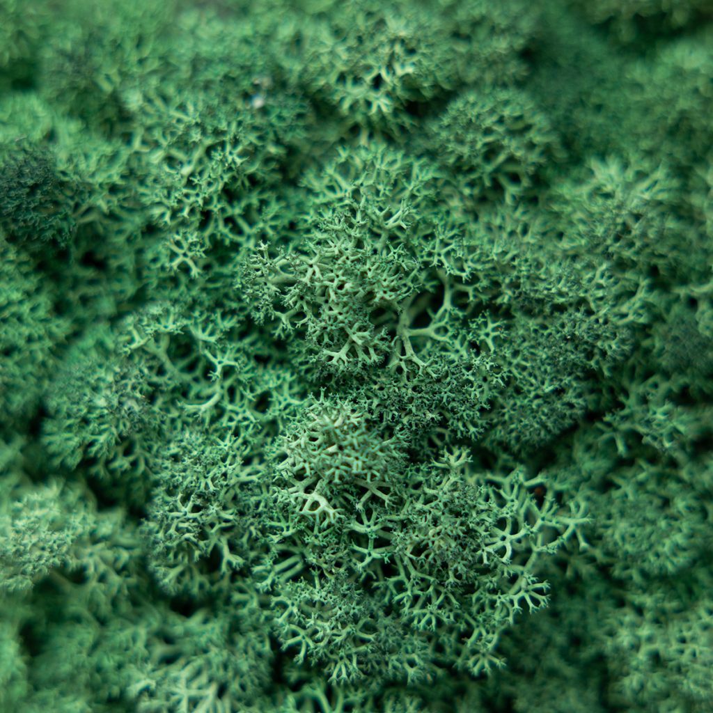 Image 2 of 4 in Moss Panel gallery