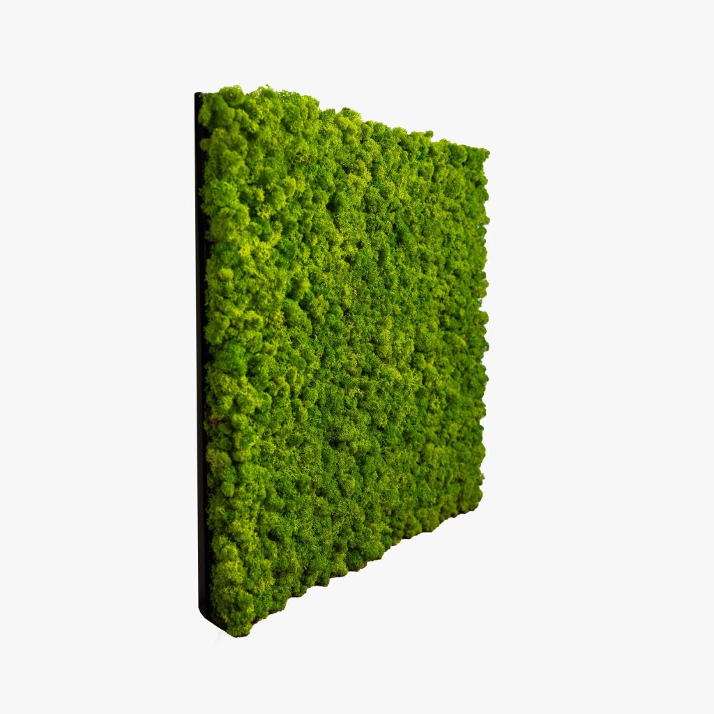 Image 3 of 4 in Moss Panel gallery