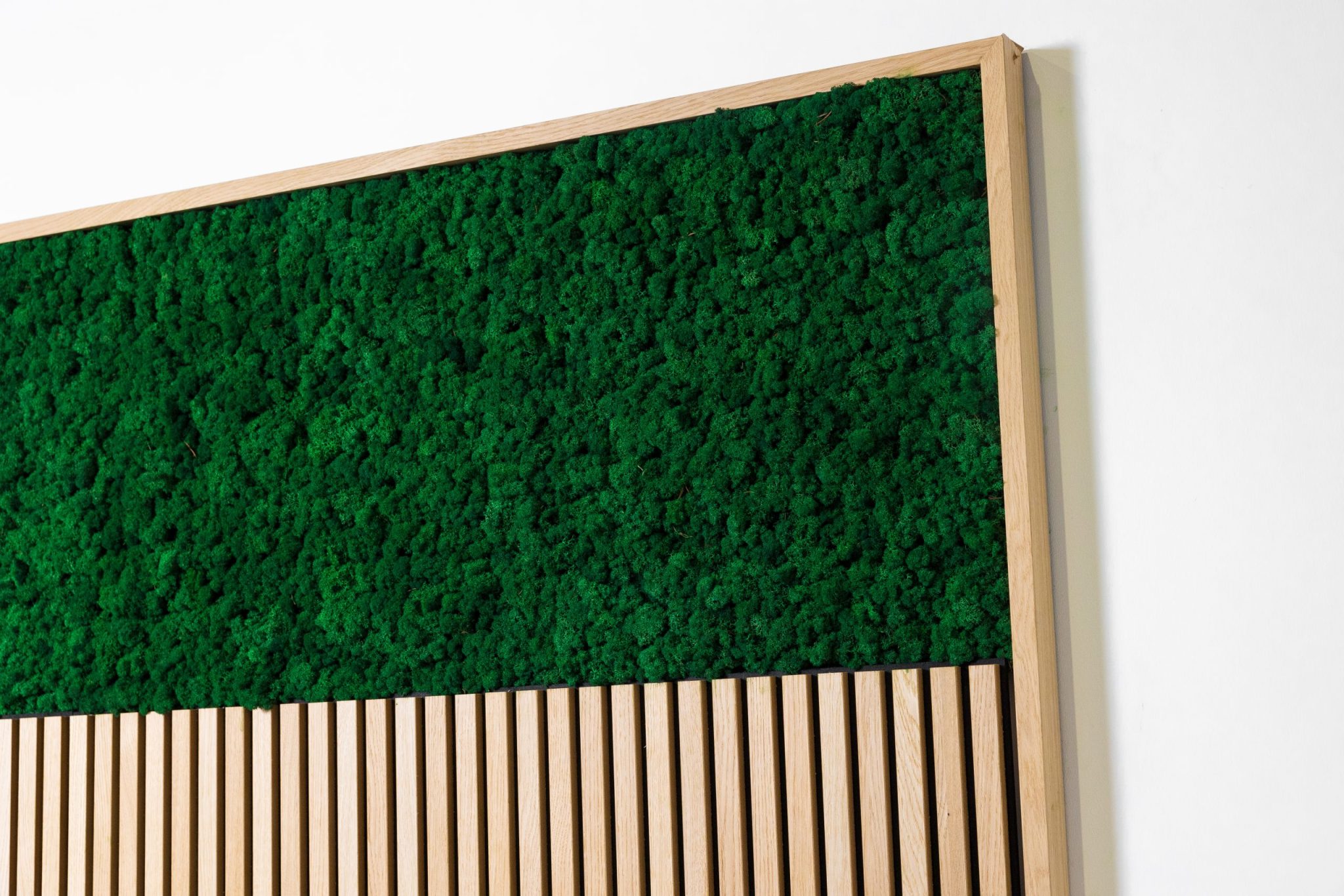 mosspanel-moss-green-closeup-with-classic-oak
