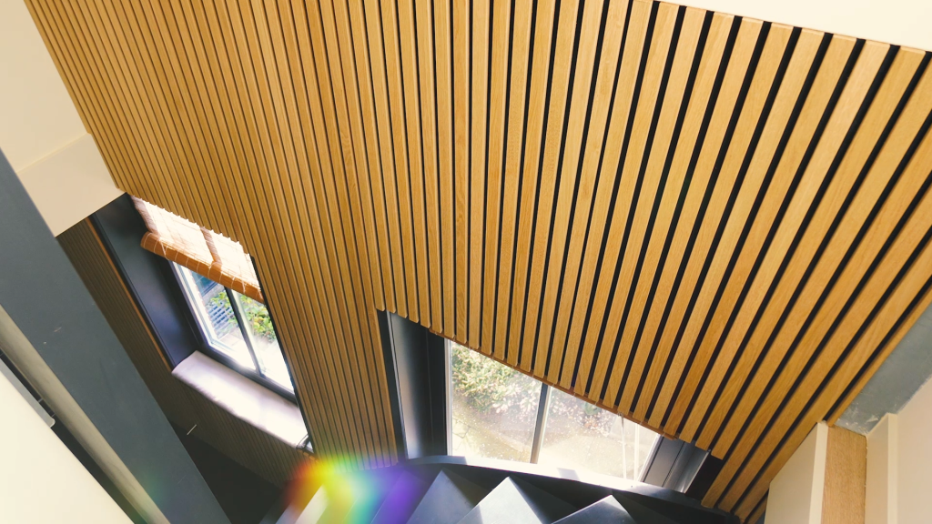 Annemiek-hall-snapshot-nl