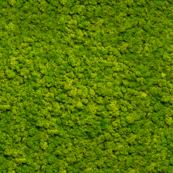 Apple Green | Moss panel – Sample
