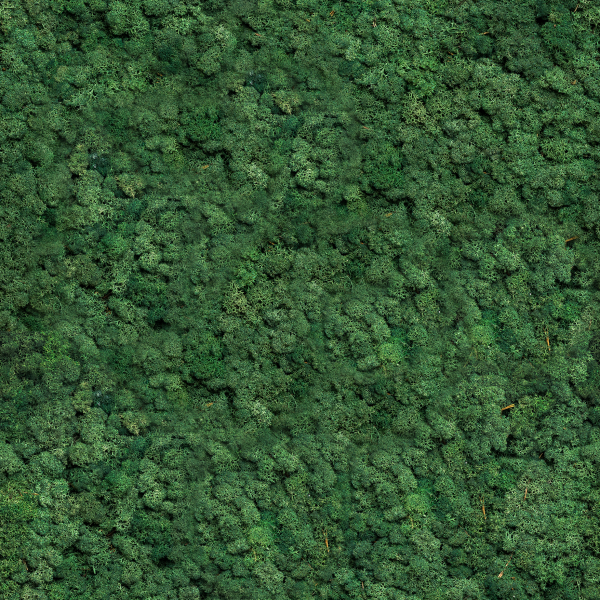 Moss Green | Moss panel – Sample